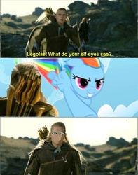 Size: 709x900 | Tagged: safe, rainbow dash, g4, dashface, legolas, lord of the rings, so awesome