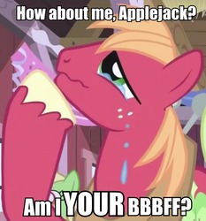 Size: 670x718 | Tagged: safe, big macintosh, earth pony, pony, g4, bbbff, crying, image macro, male, stallion, unshorn fetlocks