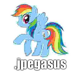 Size: 472x460 | Tagged: safe, rainbow dash, pony, g4, blurry, female, image macro, jpegasus, needs more jpeg, pun, solo