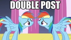 Size: 640x360 | Tagged: safe, edit, edited screencap, screencap, rainbow dash, pegasus, pony, a canterlot wedding, g4, confused, disguise, disguised changeling, double, double rainbow, duo, female, image macro, looking at each other, mare, meme, text