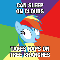 Size: 750x750 | Tagged: safe, rainbow dash, g4, derp, image macro, rainbow derp