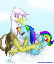 Size: 768x905 | Tagged: safe, artist:locoexclaimer, gilda, rainbow dash, griffon, g4, female, lesbian, ship:gildash, shipping