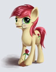 Size: 884x1140 | Tagged: safe, artist:icefairy64, roseluck, pony, g4, female, mouth hold, rose, solo