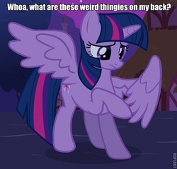 Size: 558x534 | Tagged: safe, edit, edited screencap, screencap, twilight sparkle, alicorn, pony, friendship is witchcraft, g4, magical mystery cure, caption, confused, female, frown, image macro, mare, roflbot, solo, spread wings, text, twilight sparkle (alicorn), wings