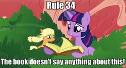 Size: 600x323 | Tagged: safe, applejack, twilight sparkle, earth pony, pony, unicorn, g4, image macro, rule 34, unicorn twilight