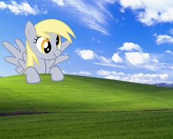 Size: 4510x3627 | Tagged: safe, derpy hooves, pegasus, pony, g4, bliss xp, female, mare, ponies in real life, scrunchy face, solo, wallpaper, webcore, windows xp