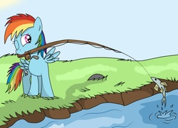 Size: 900x649 | Tagged: safe, artist:asluc96, rainbow dash, fish, pegasus, pony, g4, fishing, solo, water