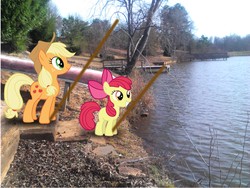 Size: 2048x1536 | Tagged: safe, artist:tokkazutara1164, apple bloom, applejack, g4, fishing, pier, poles, pond, ponies in real life, steps, water