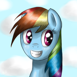 Size: 1024x1024 | Tagged: source needed, safe, artist:budgieflitter, rainbow dash, g4, bust, eyes open, grin, portrait, smiling, solo, teeth