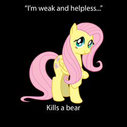 Size: 1200x1200 | Tagged: safe, fluttershy, bear, g4, blatant lies