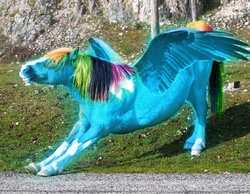 Size: 1104x856 | Tagged: safe, rainbow dash, horse, g4, 1000 years in photoshop, exploitable meme, hoers, irl, irl horse, iwtcird, majestic as fuck, photo, ponies in real life, recolored hoers, stretching