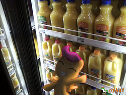 Size: 1024x768 | Tagged: safe, artist:ojhat, scootaloo, g4, irl, orange juice, photo, ponies in real life, supermarket