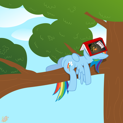 Size: 4000x4000 | Tagged: safe, artist:gammaespeon, daring do, rainbow dash, g4, book, egghead, sleeping, tree