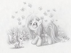 Size: 1890x1422 | Tagged: safe, artist:deathcutlet, fluttershy, alicorn, butterfly, pony, rabbit, g4, alicornified, fluttercorn, grayscale, magic, monochrome, race swap, traditional art