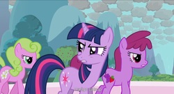 Size: 1587x857 | Tagged: safe, screencap, berry punch, berryshine, daisy, flower wishes, twilight sparkle, earth pony, pony, unicorn, g4, unicorn twilight, youtube caption, youtube link