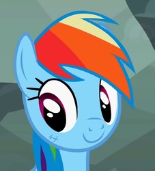 Size: 607x669 | Tagged: safe, screencap, rainbow dash, pony, g4, female, mare, solo