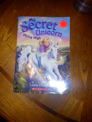 Size: 1944x2592 | Tagged: safe, barely pony related, book, cover, linda chapman, my secret unicorn, secret unicorn, the secret unicorn