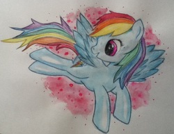 Size: 887x686 | Tagged: safe, artist:ziraflyx, rainbow dash, g4, traditional art