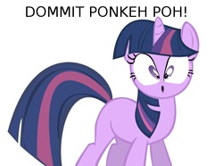 Size: 676x503 | Tagged: safe, twilight sparkle, g4, funnyjunk, stupid, twalot spakl, woll smoth