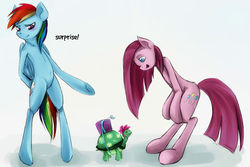 Size: 2000x1336 | Tagged: safe, artist:insanitylittlered, pinkie pie, rainbow dash, tank, pony, g4, bipedal, pinkamena diane pie, trio