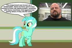 Size: 887x588 | Tagged: safe, lyra heartstrings, pony, unicorn, g4, chalkboard, dialogue, do you even lift, human studies101 with lyra, lyra got it right, open mouth, raised hoof, smiling