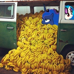 Size: 500x500 | Tagged: safe, artist:ra1nbowscr4tch, edit, dj pon-3, princess luna, vinyl scratch, g4, banana, car, friendship is magic bitch, ponies in real life, wat