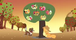 Size: 2960x1592 | Tagged: safe, apple bloom, applejack, babs seed, big macintosh, braeburn, granny smith, winona, earth pony, pony, g4, male, stallion