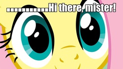 Size: 1152x648 | Tagged: safe, fluttershy, g4, bronybait, eyes, hypnosis, hypnosis ponies, image macro, meme, stare
