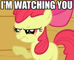 Size: 500x402 | Tagged: safe, edit, edited screencap, screencap, apple bloom, earth pony, pony, g4, cropped, image macro, solo, text