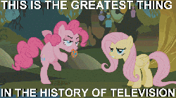 Size: 640x360 | Tagged: safe, edit, edited screencap, screencap, fluttershy, pinkie pie, pegasus, pony, bridle gossip, g4, season 1, animated, bipedal, dancing, duo, evil enchantress, female, flutterguy, gif, image macro, mare, spitty pie, tongue out