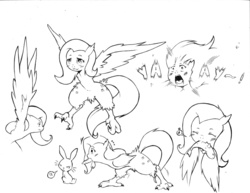 Size: 1280x989 | Tagged: safe, artist:cold-blooded-twilight, angel bunny, fluttershy, bird, fish, harpy, monster pony, rabbit, g4, animal, dead, monochrome, mouth hold, pubic fluff, species swap