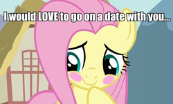 Size: 890x539 | Tagged: safe, fluttershy, g4, blushing, bronybait, image macro, text