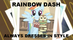 Size: 852x467 | Tagged: safe, edit, edited screencap, screencap, rainbow dash, owl, pegasus, pony, g4, may the best pet win, bowtie, clothes, female, mare, photo, rainbow dash always dresses in style, rainbow dork, sweater