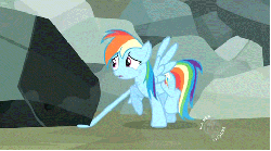 Size: 480x267 | Tagged: safe, screencap, rainbow dash, pony, g4, may the best pet win, animated, female, gif, panic, prancing, solo