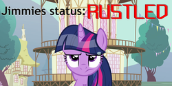 Size: 1200x600 | Tagged: safe, twilight sparkle, g4, caption, image macro, jimmies, reaction image, unhappy, wet mane