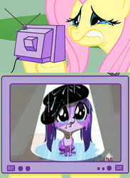 Size: 563x771 | Tagged: safe, fluttershy, g4, crying, exploitable meme, fluttercry, littlest pet shop, meme, puppy dog eyes, tv meme, zoe trent