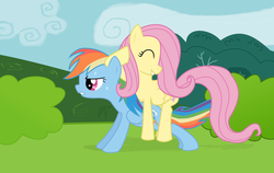 Size: 1775x1125 | Tagged: safe, artist:diegotan, fluttershy, rainbow dash, g4, exercise, push-ups