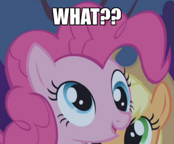 Size: 576x477 | Tagged: safe, pinkie pie, g4, derp, image macro