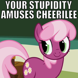 Size: 600x600 | Tagged: safe, cheerilee, earth pony, pony, g4, caption, classroom, female, image macro, meme, reaction image, solo