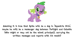 Size: 549x291 | Tagged: safe, spike, dog, equestria girls, g4, reports, rumor, speculation, spike the dog