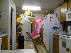 Size: 4896x3672 | Tagged: safe, artist:emedina13, pinkie pie, surprise, g1, g4, chair, door, g1 to g4, generation leap, kitchen, ponies in real life, pringles, refrigerator, trash can, vector