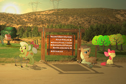 Size: 3872x2592 | Tagged: safe, artist:utterlyludicrous, apple bloom, applejack, big macintosh, granny smith, earth pony, pony, g4, barrel, clubhouse, crusaders clubhouse, male, ponies in real life, power line, shadow, sign, stallion, tree, walker