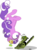 Size: 2327x3153 | Tagged: safe, artist:frozenfish696, idw, screwball, cat, earth pony, pony, g4, andy price, floating, flying, hat, idw showified, propeller hat, scared, simple background, surprised, swirly eyes, transparent background, upside down, vector