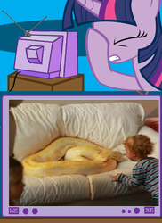 Size: 560x771 | Tagged: safe, twilight sparkle, snake, g4, exploitable meme, facehoof, fail, meme, safety, tv meme