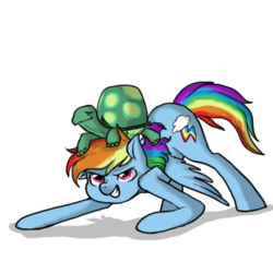 Size: 500x500 | Tagged: safe, artist:corrupted-luna, rainbow dash, tank, pegasus, pony, g4, female, mare, pet, simple background, transparent background