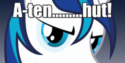 Size: 1087x547 | Tagged: safe, shining armor, g4, attention, bronybait, caption, drill sergeant, eyes, hypnosis, hypnosis ponies, image macro, meme, ten hut