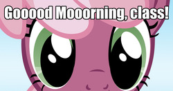 Size: 1050x554 | Tagged: safe, cheerilee, g4, bronybait, caption, eyes, hypnosis, hypnosis ponies, image macro