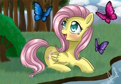 Size: 1800x1250 | Tagged: safe, artist:zorbitas, fluttershy, butterfly, g4, happy