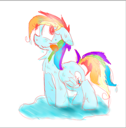 Size: 500x508 | Tagged: safe, artist:ticktockreplies, rainbow dash, g4, derp, wet