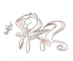 Size: 800x661 | Tagged: safe, artist:romaniz, fluttershy, bird, g4, sketch, traditional art